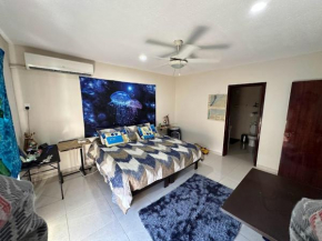 The Blue Room in Scuba House